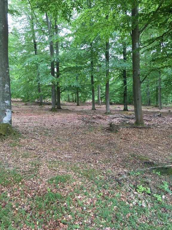 Lusthuset Villa Sölvesborg Kültér fotó
